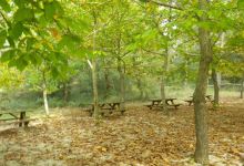 Foresta Mercadante景点图片