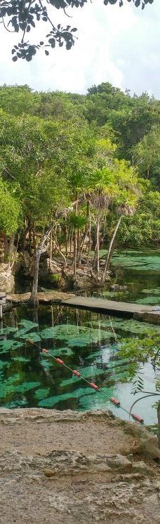 Cenote Azul-索里达瑞达德