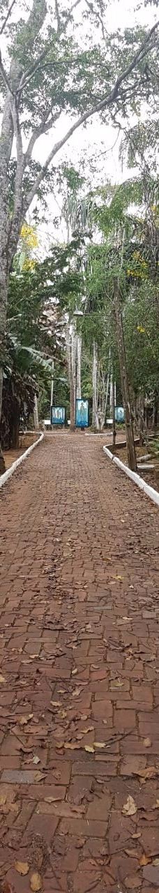 Parque Ambiental Chico Mendes-里奥布朗库