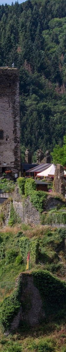 Metternich Castle-拜尔施泰因