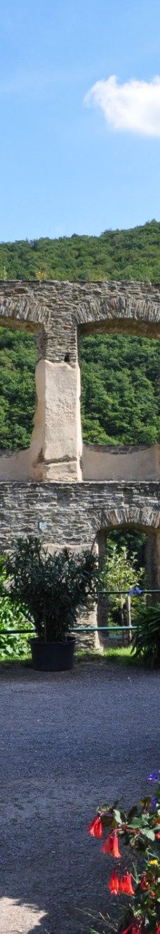 Metternich Castle-拜尔施泰因