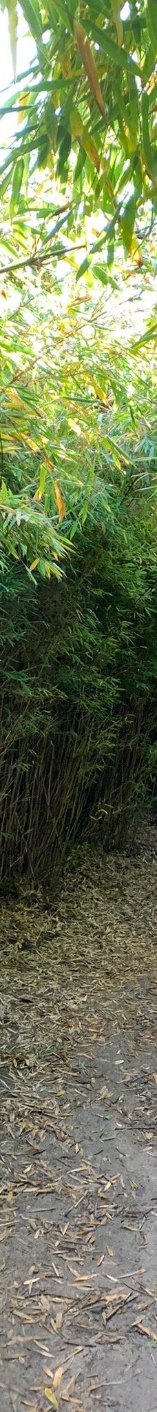 Geografisk Have-科灵