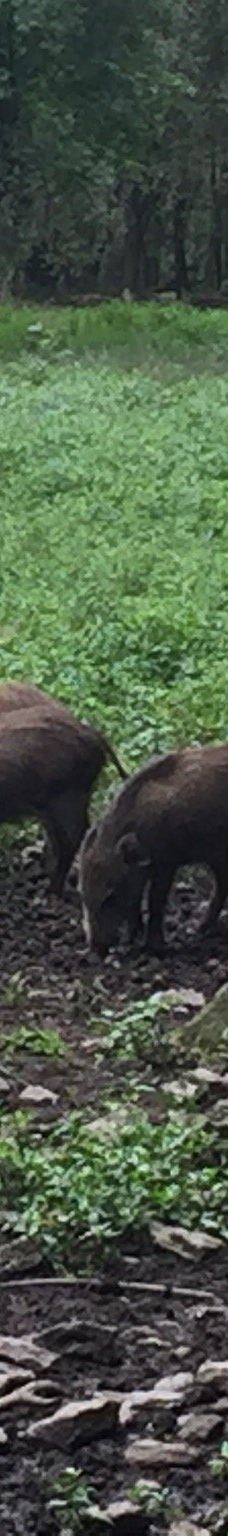 Chemnitz Zoo-开姆尼茨