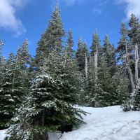 安吉利斯港图片