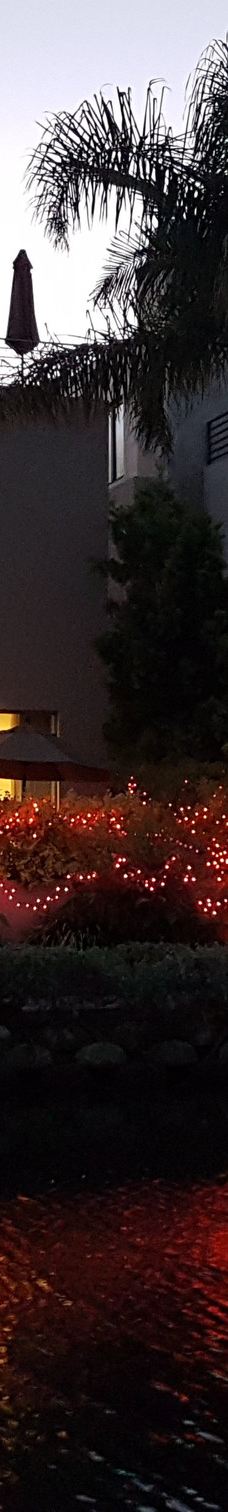 威尼斯运河历史街区-威尼斯