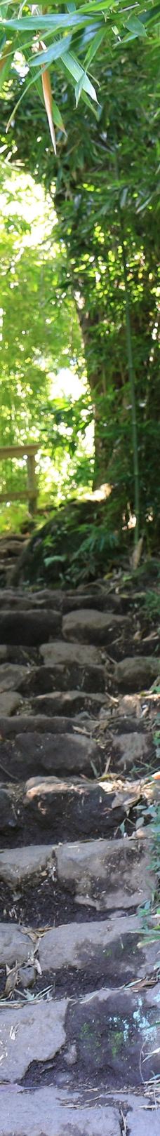 皮皮崴小径-茂宜县