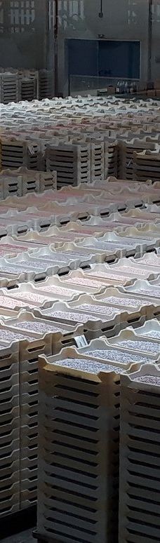 Jelly Belly Factory Tour-费尔菲尔德