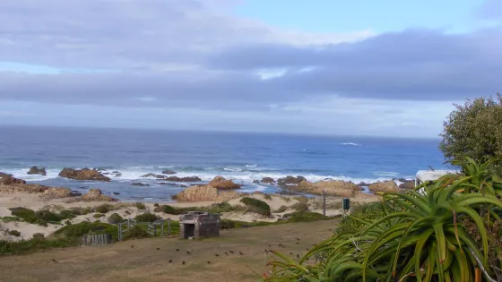Buffalo Bay