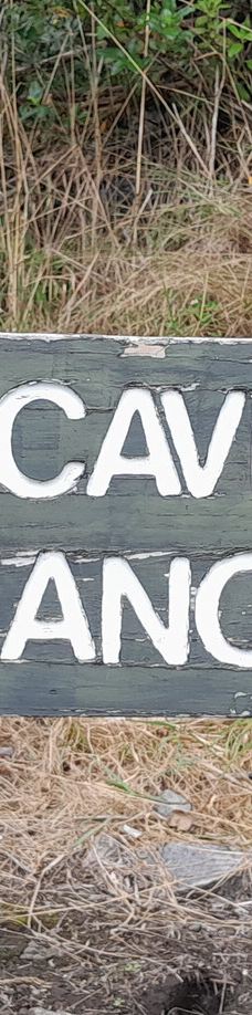 Ngarua Caves-Takaka Hill