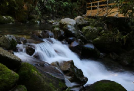 Buller Adventures景点图片