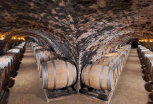 Tokaj Oremus Pinceszet景点图片