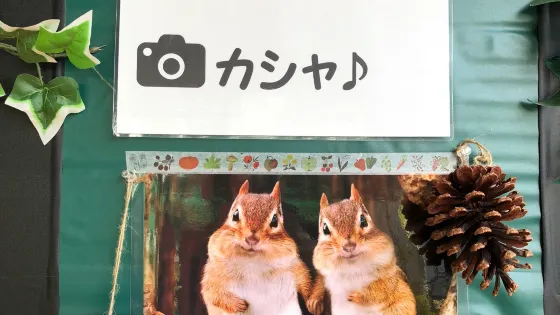花栗鼠公園