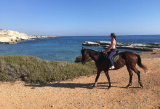 George's Ranch景点图片