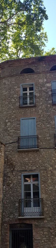 Saturday Street Market-塞雷