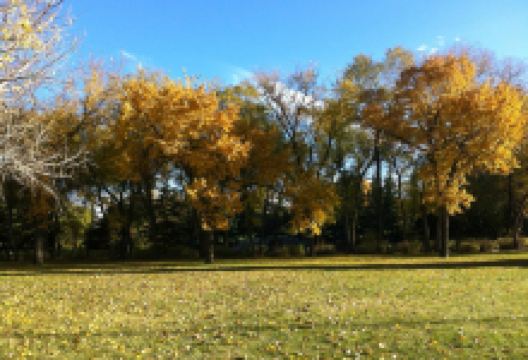 Kiwanis Waterfall Park景点图片