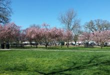 Windsor Town Green景点图片
