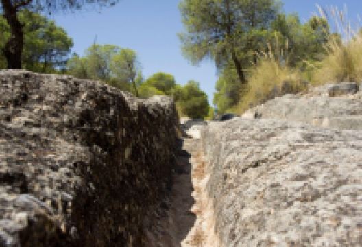 Ruta de la pedrera景点图片