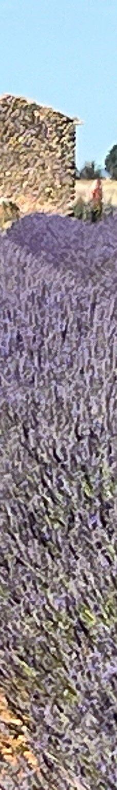 瓦朗索尔高原-瓦朗索勒