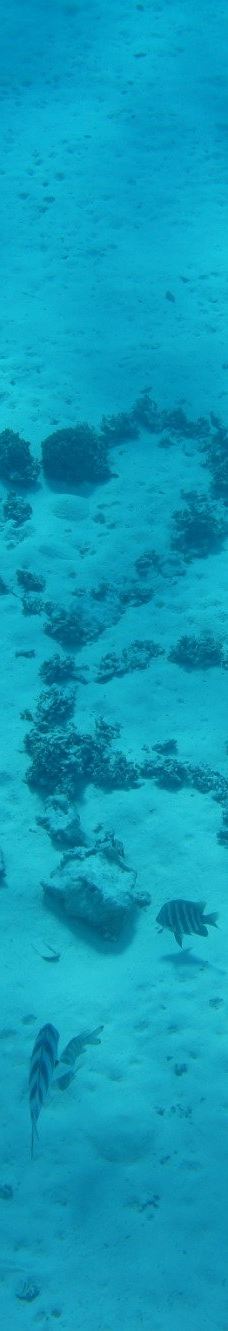 Bora Bora Lagoon Onoku Services-波拉波拉岛