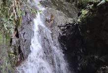 Gruta de Nossa Senhora de Fátima - Gruta do Azeiteiro景点图片