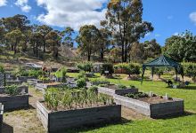 Long Gully Community Garden景点图片