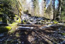 Mörttjärns naturreservat景点图片