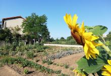Jardins communautaires景点图片