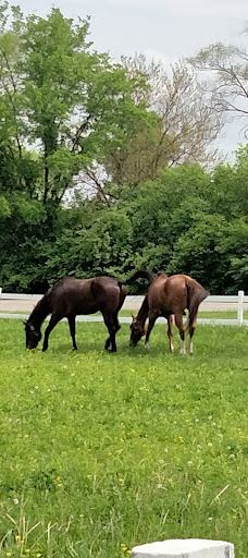 Rouge Park-底特律