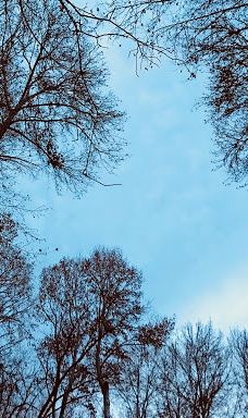 Tomb of Babaafzal-卡尚