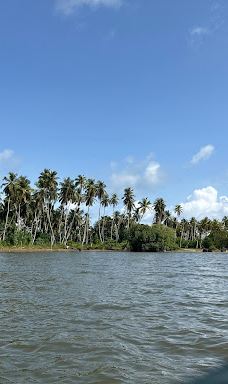 Assinie la passe-阿迪亚凯