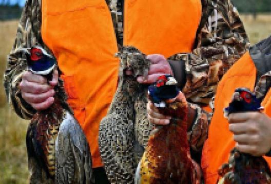Dry Creek Ranch- Quail Hunting, Pheasant Hunting, Chukar Hunting And Red Stag Hunting In Louisiana景点图片