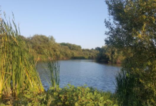 Las Brisas Park景点图片