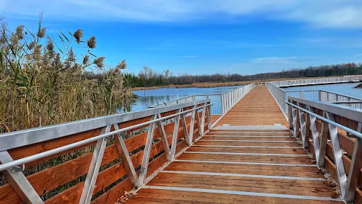 Bois-de-l’Île-Bizard自然公園