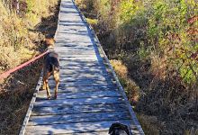 Partridge Island Trail景点图片