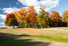 Cass Benton Park Sledding Hill景点图片