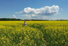 Peninsula Out Of Doors购物图片