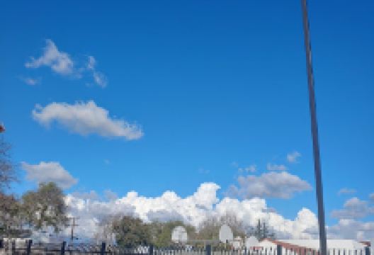 Center Park景点图片