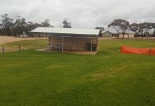 Mannum Skatepark景点图片