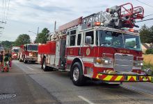 Sellman Park景点图片