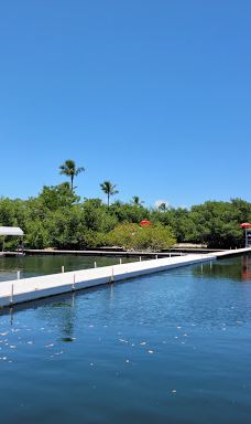 Theater of the Sea-伊斯拉莫拉达