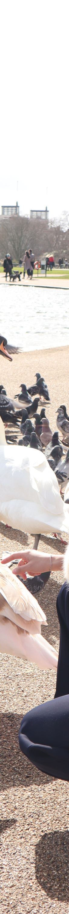 海德公园-伦敦-YoYo_2Z6R7X2Q