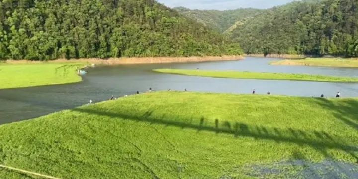 陽明湖國家濕地公園