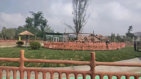 蘭州野生動物園-環尾狐猴