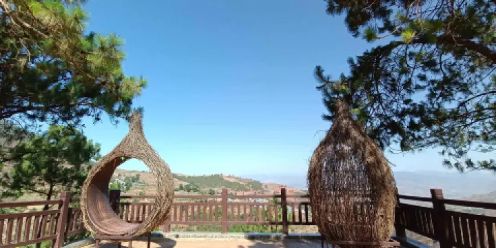 米易縣芒果產業園-觀景台