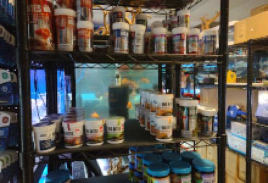 Agnoquatics景点图片