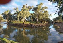 Lachlan River Campground景点图片