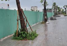 Nhà văn hóa thôn Trước景点图片