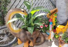 La Campanita plantas景点图片