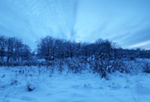 Sadivnytsʹke Tovarystvo "Strumok"景点图片