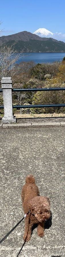 恩赐箱根公园-箱根